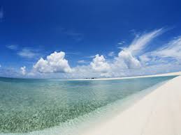 images-6