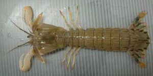 690bc31fda256d31f4f5a95095016325