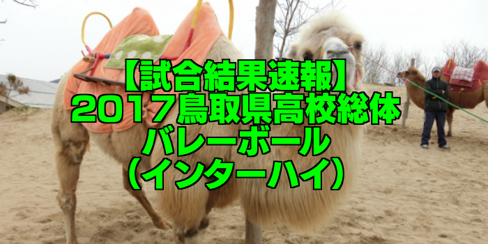 【試合結果速報】2017鳥取県高校総体バレーボール(インターハイ)