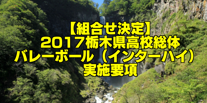 【組合せ決定】2017栃木県高校総体バレーボール(インターハイ) 実施要項