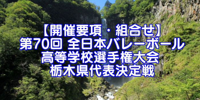 【要項・組合せ】2018年 第70回 全日本バレーボール選手権(2017年度春高バレー) 栃木県決定戦