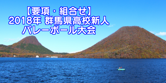 【2018新人戦】群馬県高校新人バレーボール大会 要項・組合せ