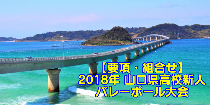 【2018新人戦】山口県高校新人バレーボール大会 要項・組合せ