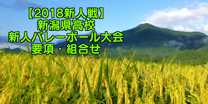 【2018新人戦】新潟県高校新人バレーボール大会 要項・組合せ