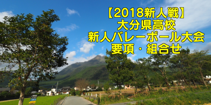 【2018新人戦】大分県高校新人バレーボール大会 要項・組合せ