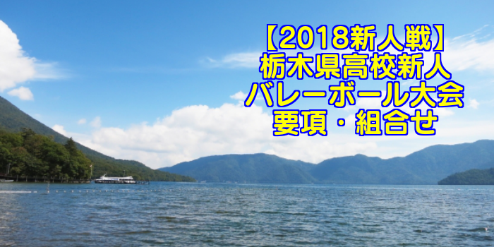 【2018新人戦】栃木県高校新人バレーボール大会 要項・組合せ
