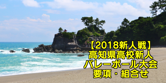 【2018新人戦】高知県高校新人バレーボール大会 要項・組合せ