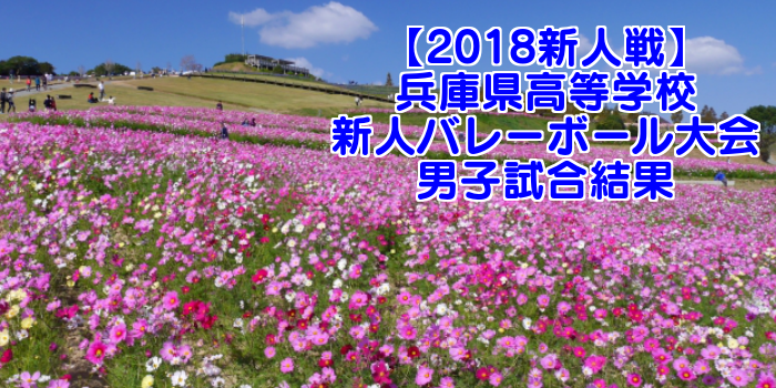 【2018新人戦】兵庫県高等学校新人バレーボール大会 男子試合結果