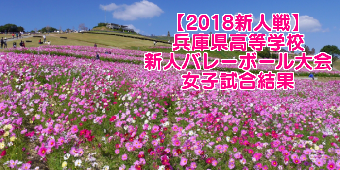 【2018新人戦】兵庫県高等学校新人バレーボール大会 女子試合結果