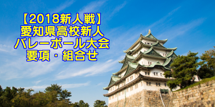 【2018新人戦】愛知県高校新人バレーボール大会 要項・組合せ