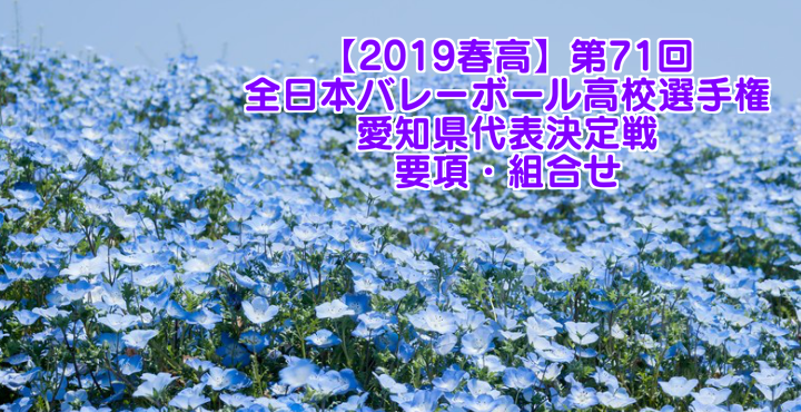 2019春高 第71回全日本バレーボール高校選手権 愛知県代表決定戦 要項 組合せ