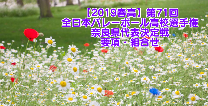 【2019春高】第71回全日本バレーボール高校選手権 奈良県代表決定戦 要項・組合せ