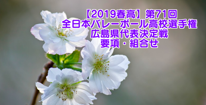 【2019春高】第71回全日本バレーボール高校選手権 沖縄県代表決定戦 女子試合結果