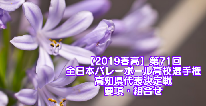 【2019春高】第71回全日本バレーボール高校選手権 高知県代表決定戦 要項・組合せ