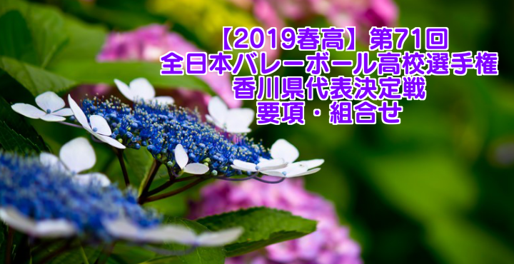 【2019春高】第71回全日本バレーボール高校選手権 千葉県代表決定戦 男子試合結果