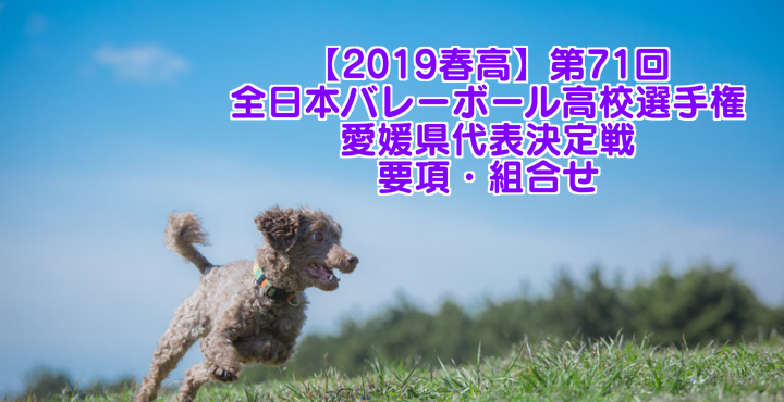 【2019春高】第71回全日本バレーボール高校選手権 愛媛県代表決定戦 要項・組合せ