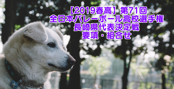 【2019春高】第71回全日本バレーボール高校選手権 山梨県代表決定戦 女子試合結果