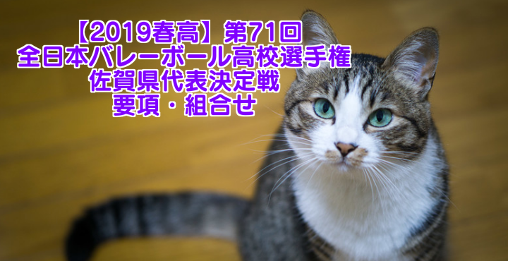 【2019春高】第71回全日本バレーボール高校選手権 佐賀県代表決定戦 要項・組合せ