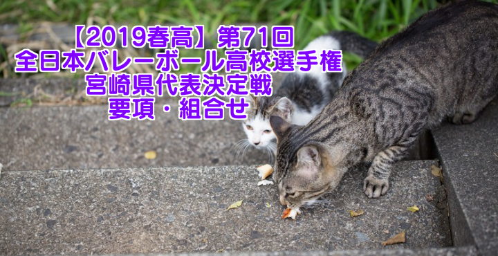 【東海リーグ】2018 東海大学バレーボール秋季女子1部 日程・試合結果
