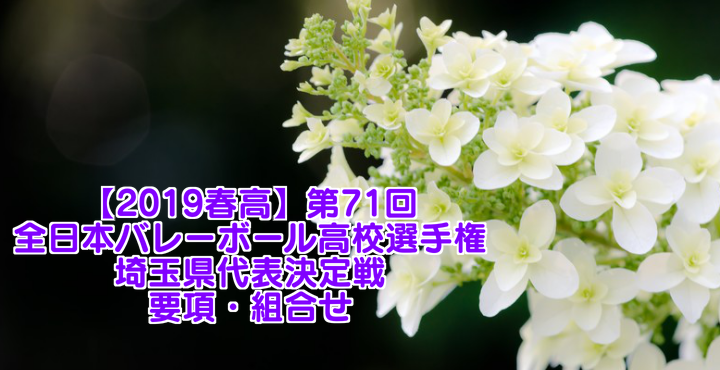 【2019春高】第71回全日本バレーボール高校選手権 各県代表決定戦 要項・組合せ・結果