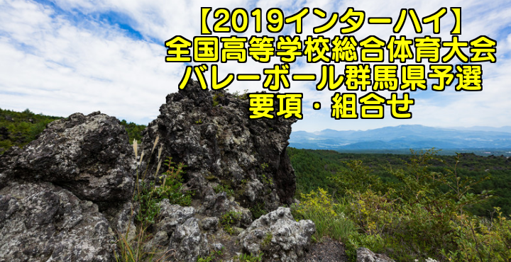 19インターハイ 全国高等学校総合体育大会 バレーボール群馬県予選 要項 組合せ