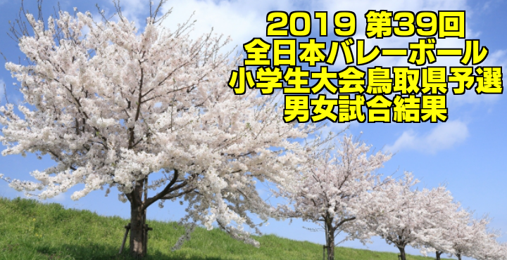 2019 第39回全日本バレーボール小学生大会鳥取県予選　男女試合結果