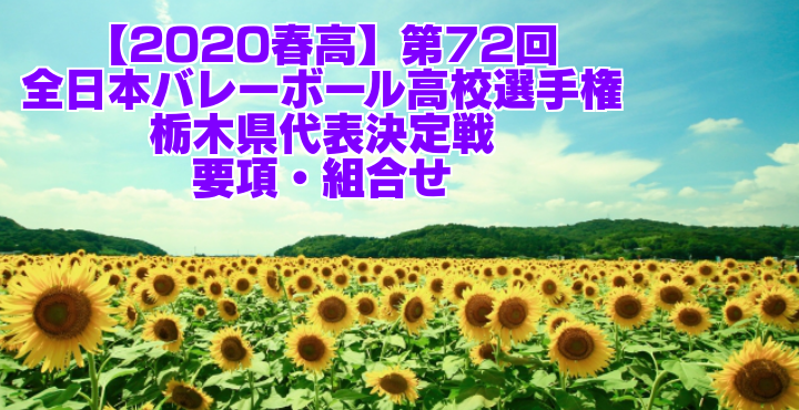 春高 第72回全日本バレーボール高校選手権 栃木県代表決定戦 要項 組合せ