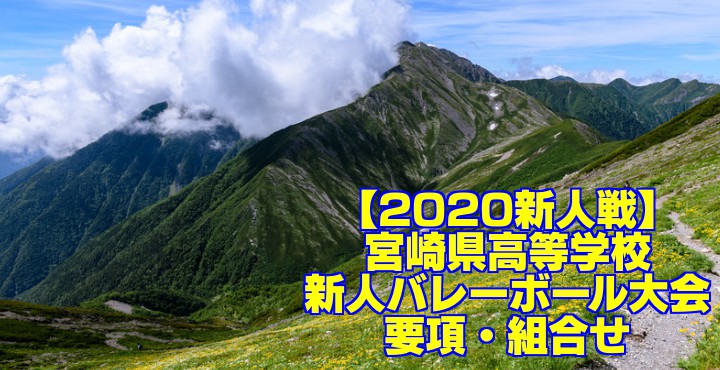 新人戦 宮崎県高等学校新人バレーボール大会 要項 組合せ