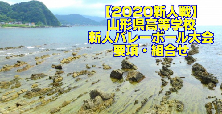 新人戦 山形県高等学校新人バレーボール大会 要項 組合せ