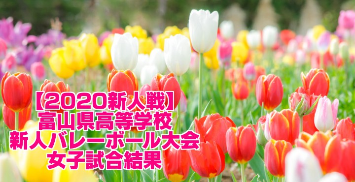 新人戦 富山県高等学校新人バレーボール大会 女子試合結果