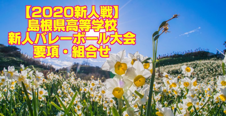 【2020新人戦】島根県高等学校新人バレーボール大会 要項・組合せ