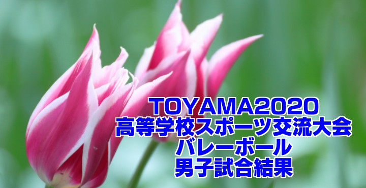 令和2年度 静岡県高校総体バレーボール代替大会 要項・組合せ