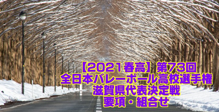 バレー 春 2021 予選 高