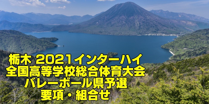 栃木 21インターハイ 全国高等学校総合体育大会 バレーボール県予選 要項 組合せ