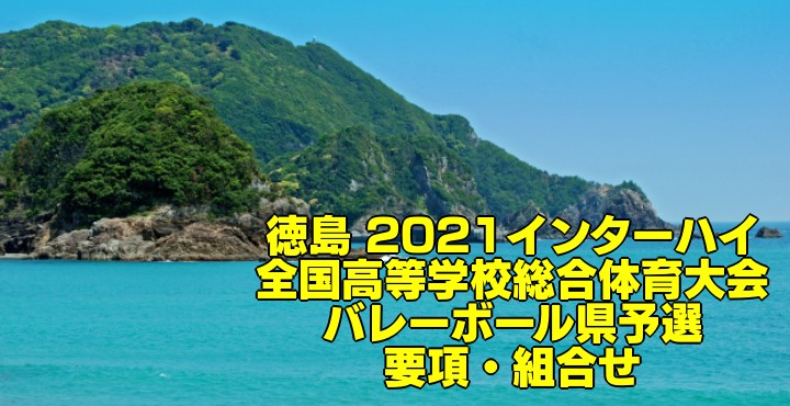 兵庫 2021インターハイ|全国高等学校総合体育大会 バレーボール県予選 要項・組合せ