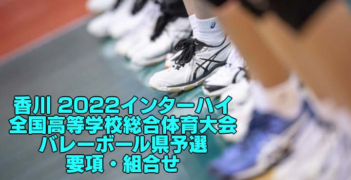香川 2022インターハイ｜全国高等学校総合体育大会 バレーボール県予選　要項・組合せ