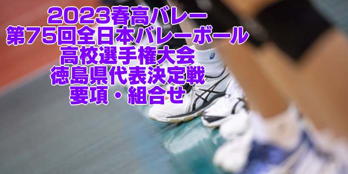 徳島 2023春高バレー｜第75回全日本バレーボール高校選手権 各県代表決定戦　要項・組合せ