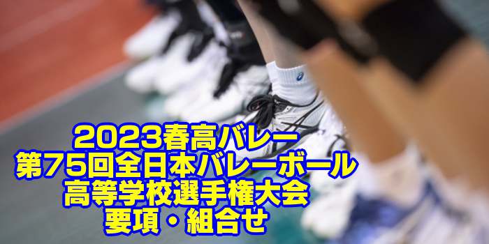 Images of 第75回全日本バレーボール高等学校選手権大会 JapaneseClass.jp